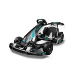 Segway Ninebot Go Kart PRO 2